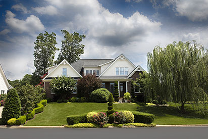 House with trees