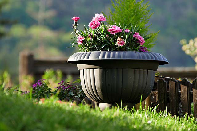 Planter with pink flowers