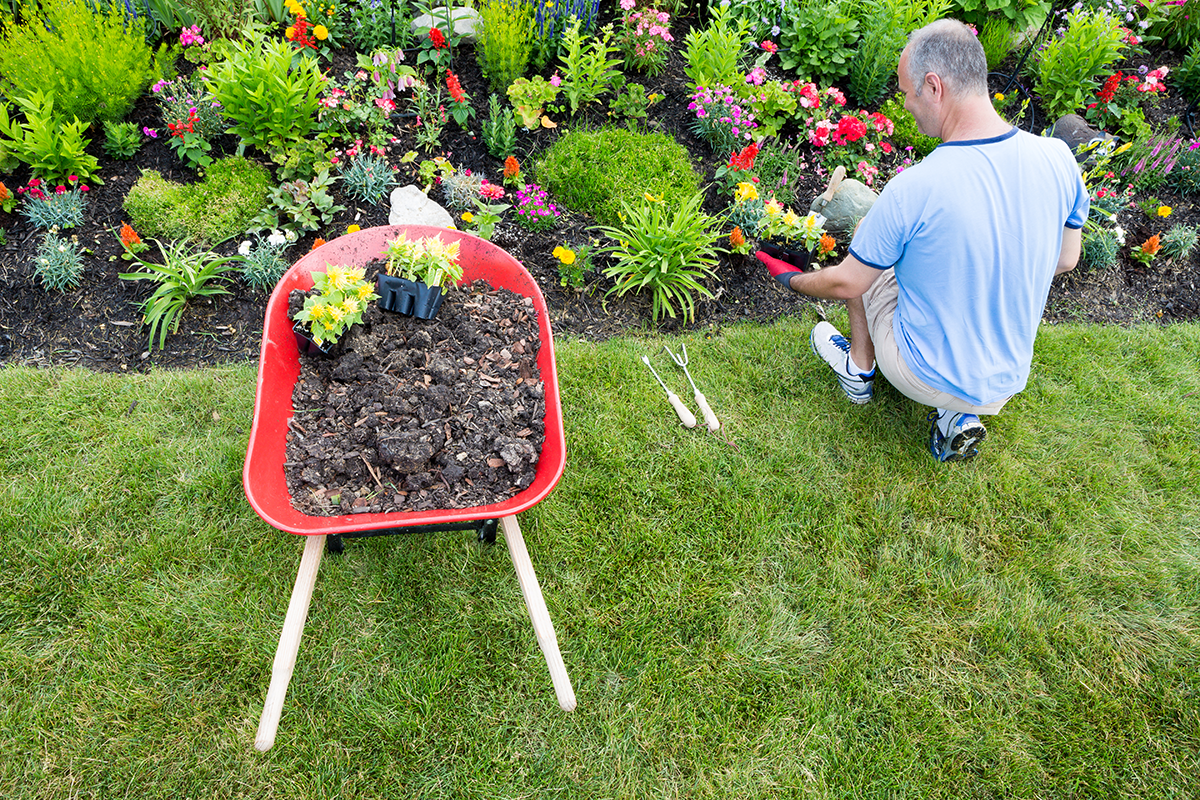 late summer planting