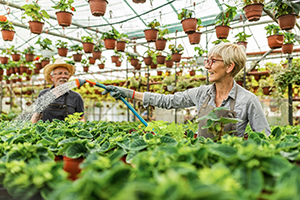 Watering Plants