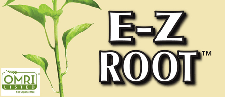 E-Z Root