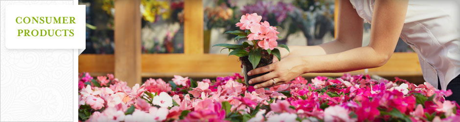 flowers at a garden center