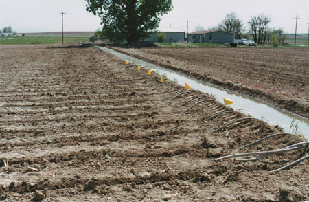 Soil Erosion Polymer in use